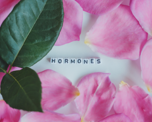 an image of petals with the word 'hormones' in the middle to depict womens health and hormone health london
